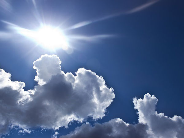 Tips For Growing Anise Hysop Plant | How To Grow Anise Hysop Plant | Ways To Grow Anise Hysop Plant | How To Grow Anise Hysop Plant In Garde 