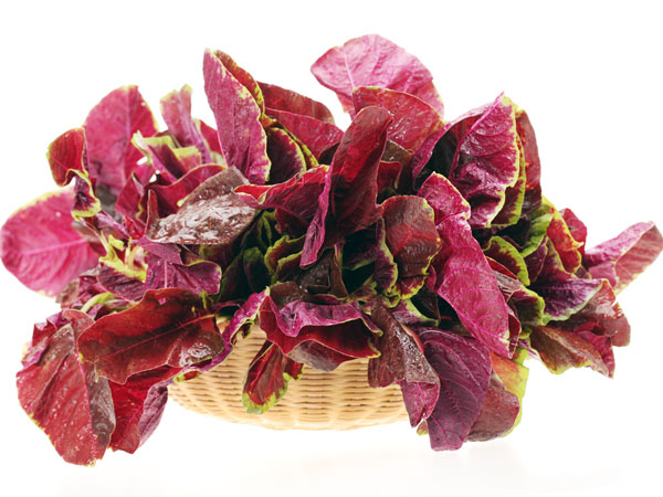 Amaranth Leaves
