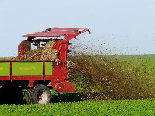 Orchid Plants Care Instructions | Tips For Orchid Plants Care | Ways To Care For Orchid Plant Care | Taking Care Of Orchid Plant Care