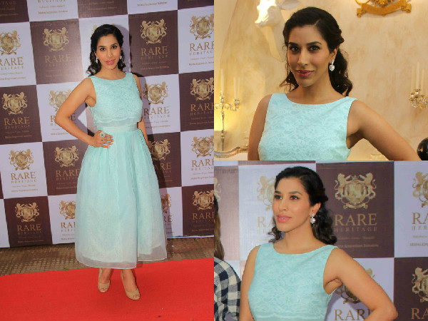 Sophie Choudry Wearing ASOS| Sophie Choudry Dresses| Sophie Choudry In A Dress| Sophie Choudry At Rare Heritage Event