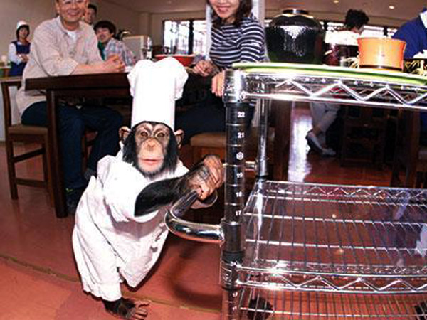 Kayabukiya Tavern, Japan