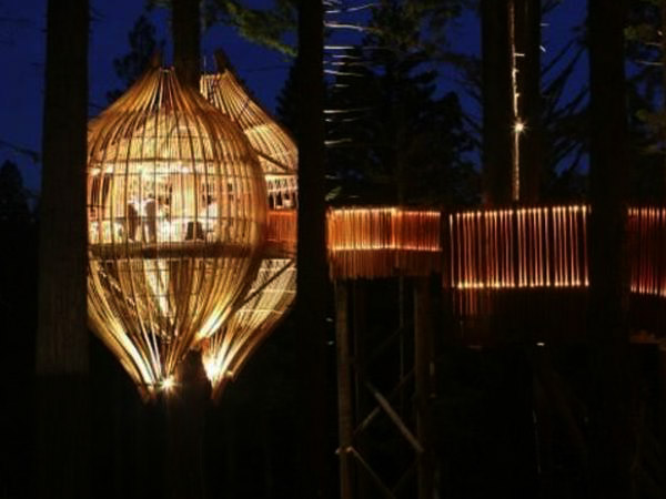 Redwoods Treehouse, New Zealand