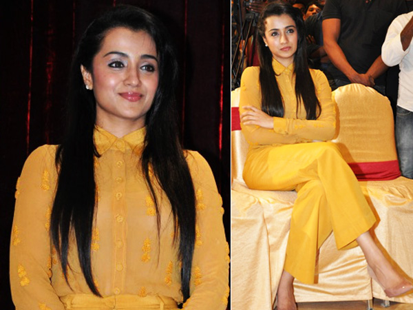 Trisha Krishnan Wearing Poco And Jacky| Trisha Krishnan For Cheekati Rajyam Press Meet| Trisha Krishnan Press Meet