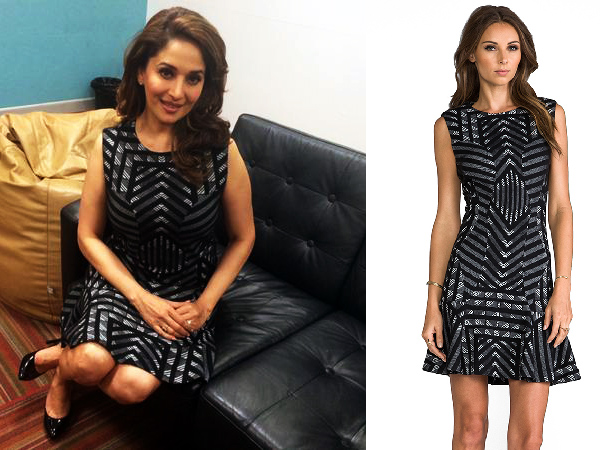 madhuri dixit with husband