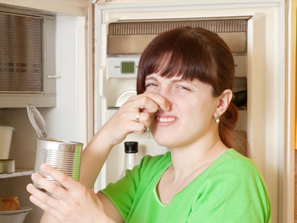 Food leftovers from fridge