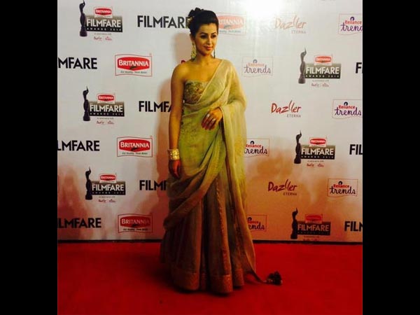 Desi Look At Filmfare Awards South 2015