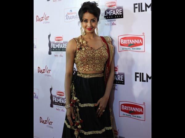 Desi Look At Filmfare Awards South 2015