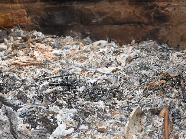 Miracles At Kottiyoor Temple