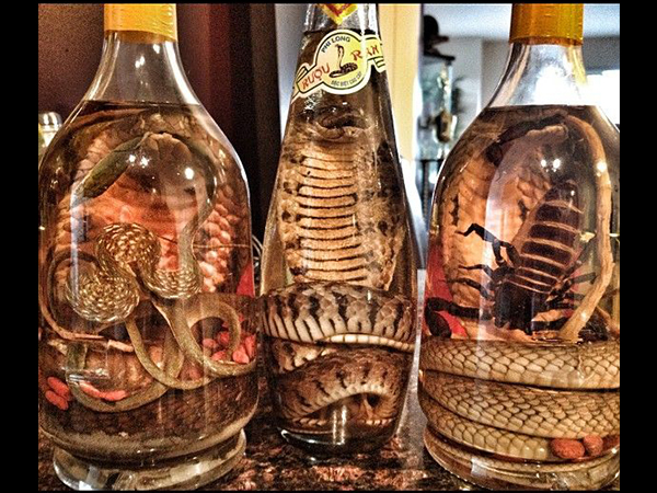 Reptile Wine Reptile Wine