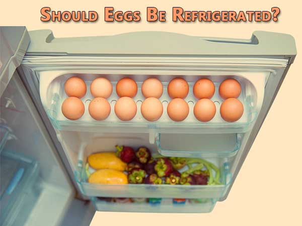Why Eggs Should Not Be Kept In The Fridge | Should You Keep In The Fridge | Storing Eggs In The Refrigerator Why Eggs Should Not Be Kept In The Fridge | Should You Keep In The Fridge | Storing Eggs In The Refrigerator