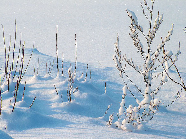 5. Intense Physical Exertion