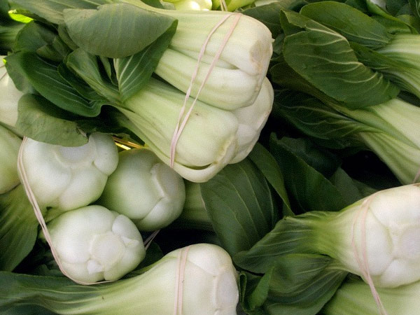 Bok Choy
