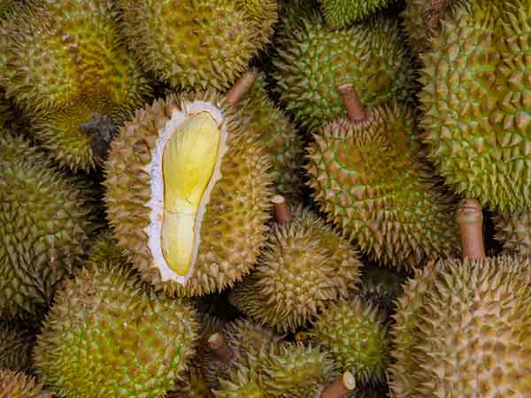 Smelly Fruit (Durian)