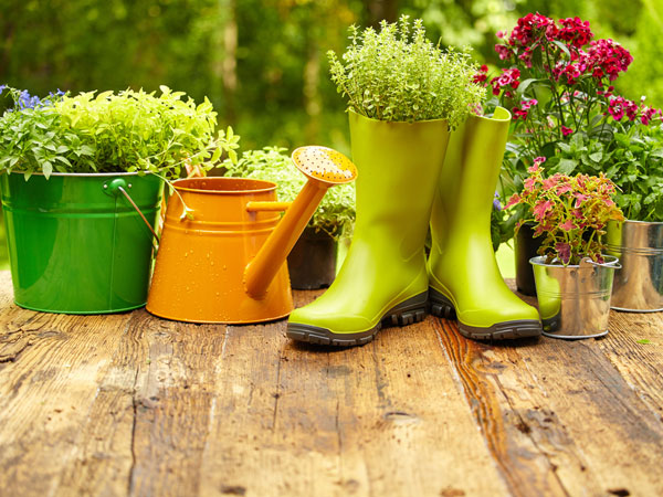 Flower gardening tips for beginners