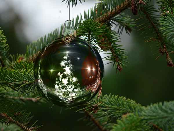 colours of christmas