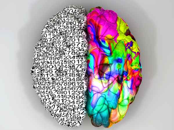 are you left or right brained test