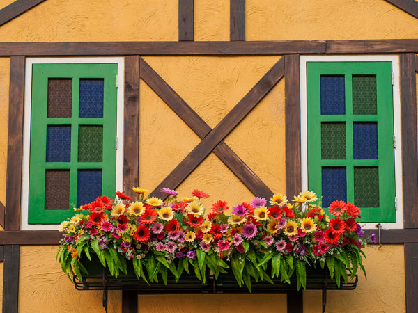 ways to beautify your home