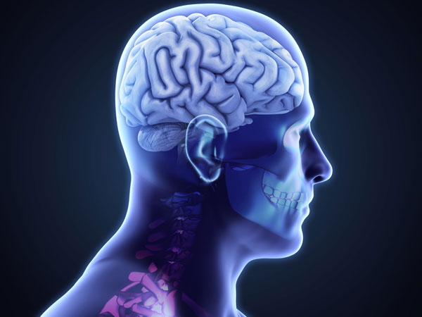 7.Improves Your Brain Power: 