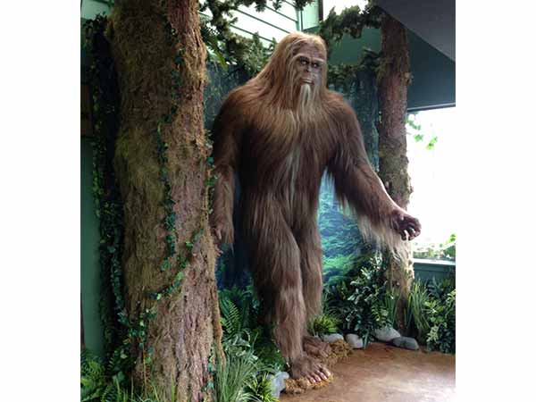 International Cryptozoology Museum