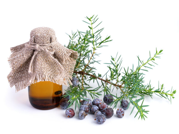 4) Use juniper oil 