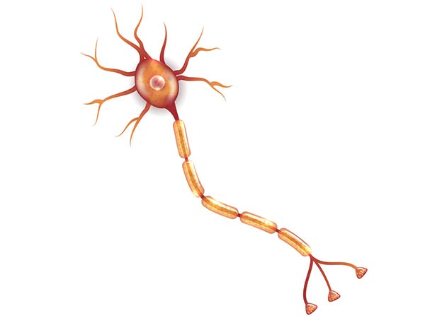 It Damages Your Nerves: