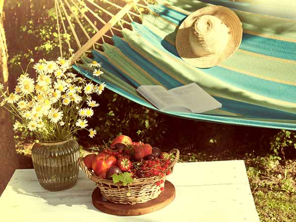 Have You Tried Swings: