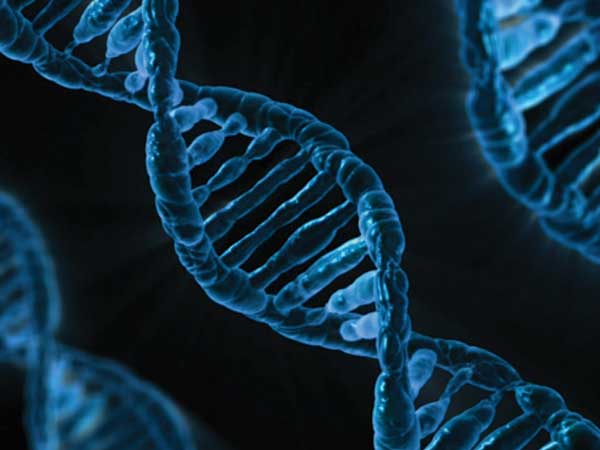 Genetic Tests Genetic Tests