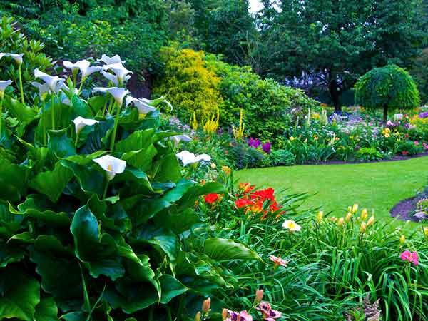 Keep Your Greens Healthy