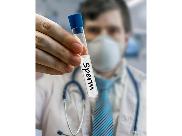 Do Pesticides Reduce Sperm Count3