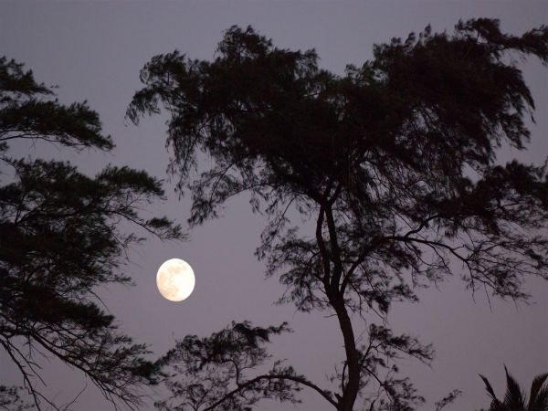 Importance And Meaning Of Guru Purnima