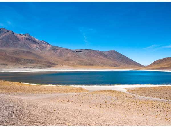 Laguna Cejar (Atacama Desert, Chile)