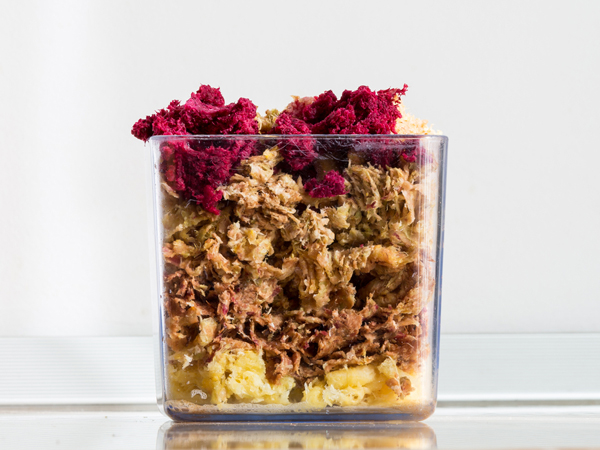 how to make body scrub at home