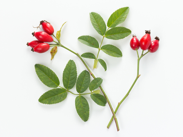 how to get rid of stretch marks naturally