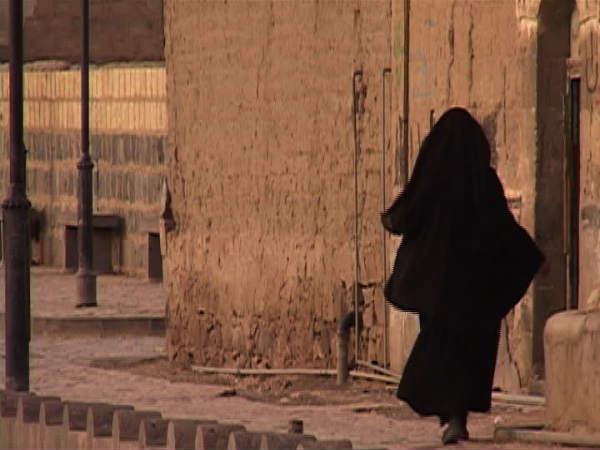 The Old Lady Had Vanished...