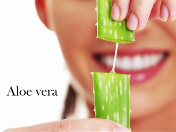 aloe vera