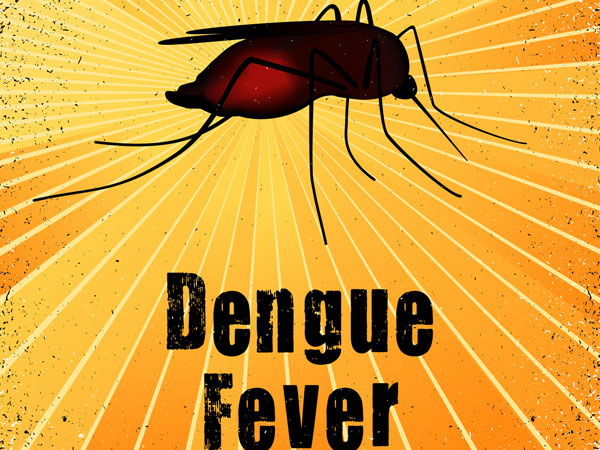 diseases caused by mosquitos