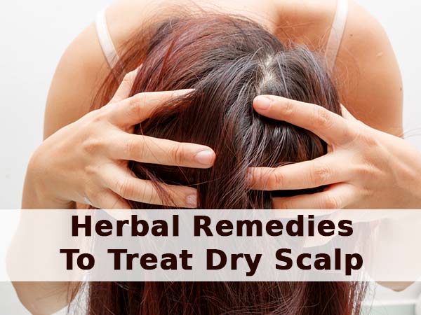 dry scalp dry scalp