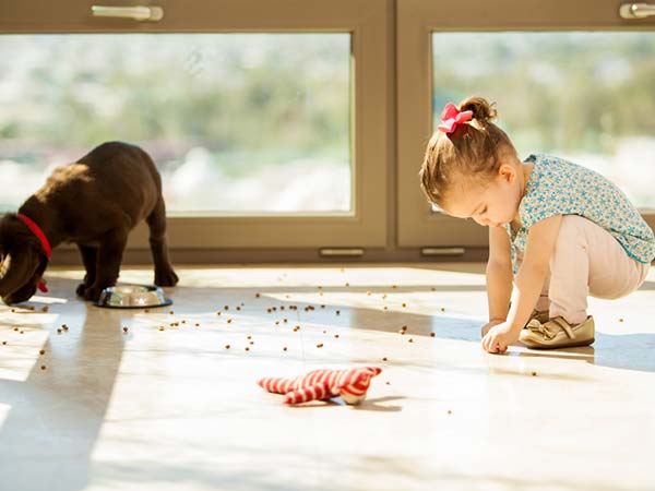 why you should not eat food that has fallen down