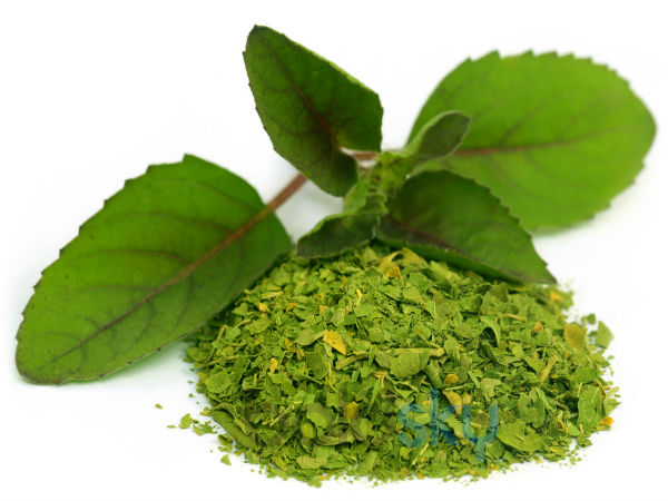 tulsi tulsi