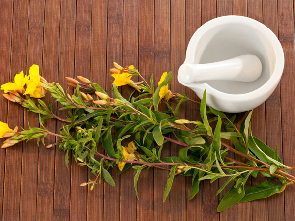 primrose oil for hair loss
