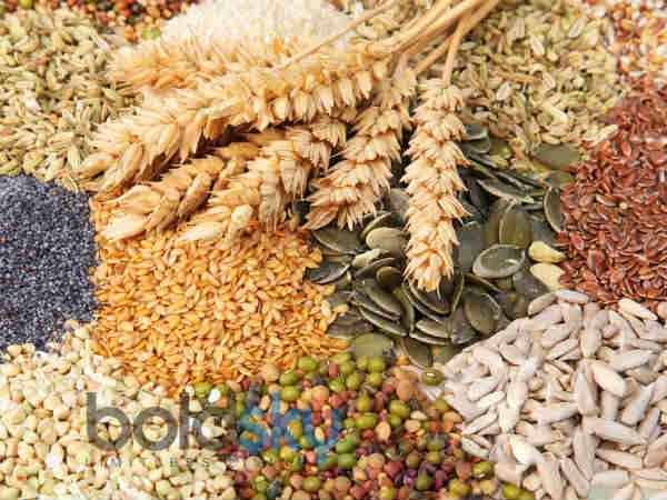 World Epilepsy Day: Can A Good Diet Help Those Who Have Epilepsy?