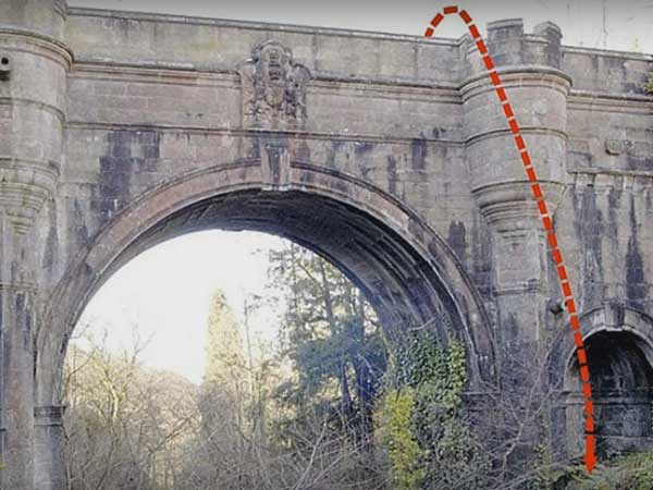 But What Happens To Dogs?