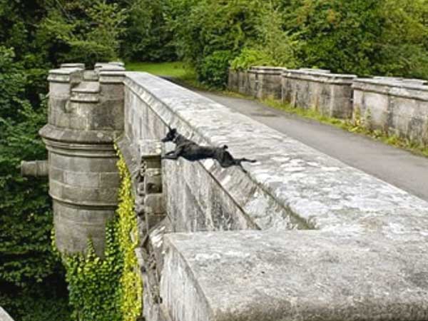 The Bridge Is Haunted!