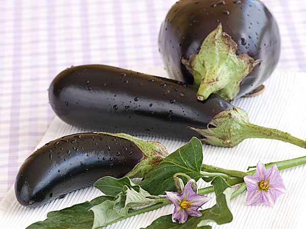 Eggplants