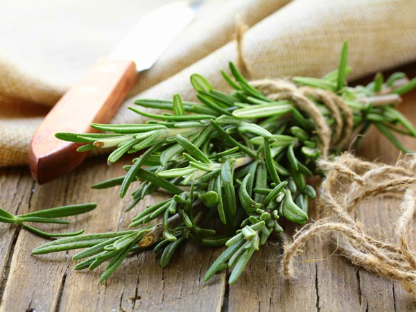rosemary