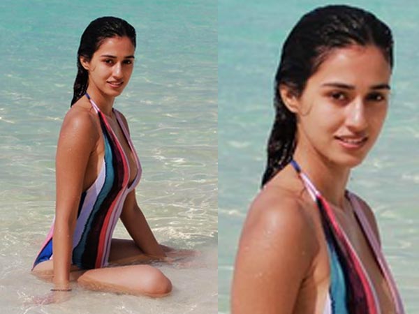 disha patani latest lookbook