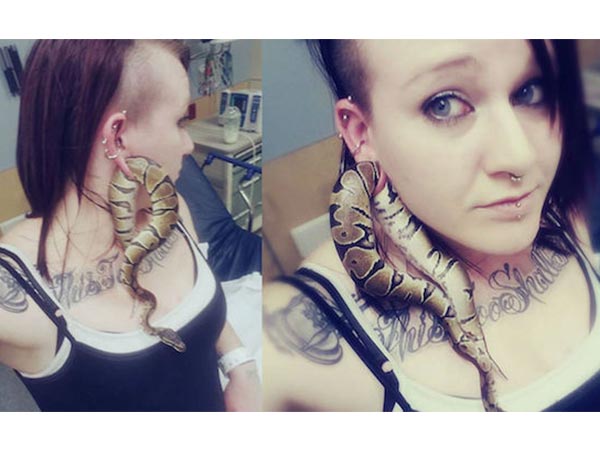 Python That Got Stuck In An Earlobe!