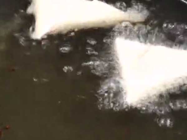 easy poha onion patti samosa