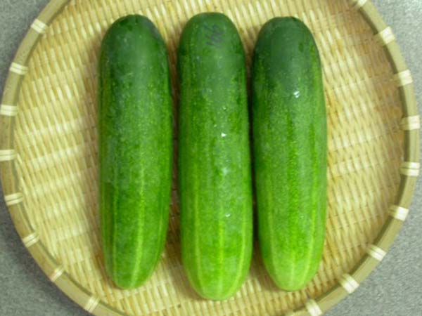cucumber water recipes for weight loss