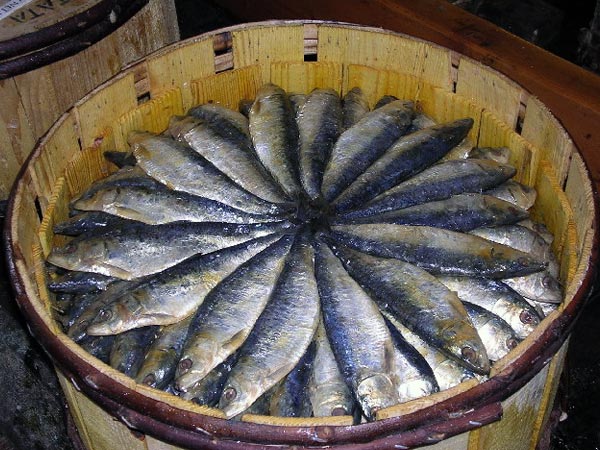 4. Sardines: